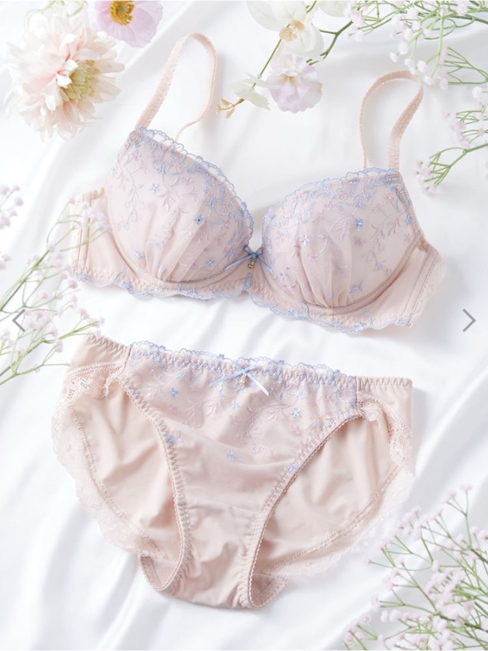 Pink & Blue Lace Embroidered Bra & Brief Set